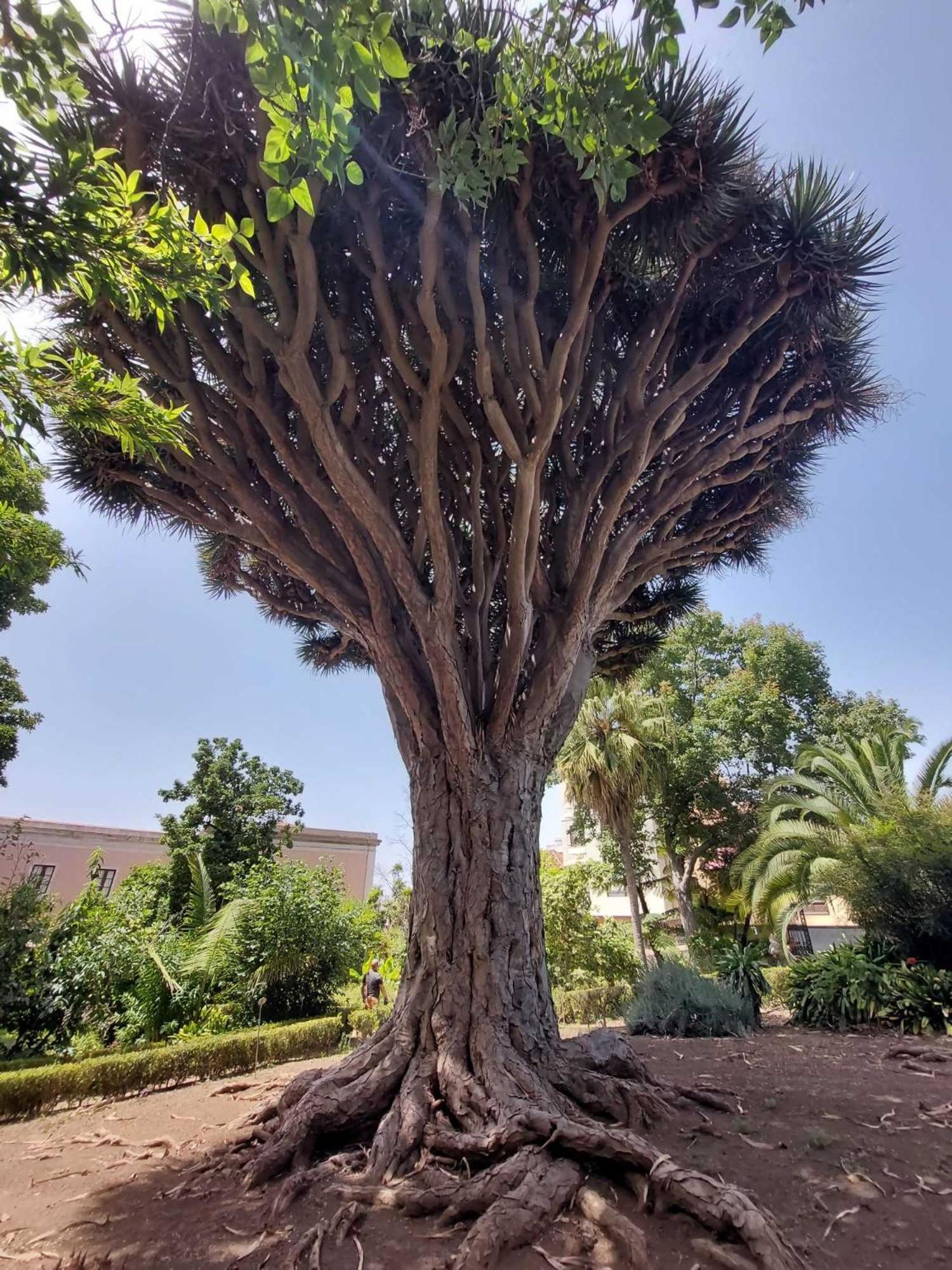 Appartamento Con 1 Camera Da Letto Con Vista Ov223 Costa Adeje  Zewnętrze zdjęcie